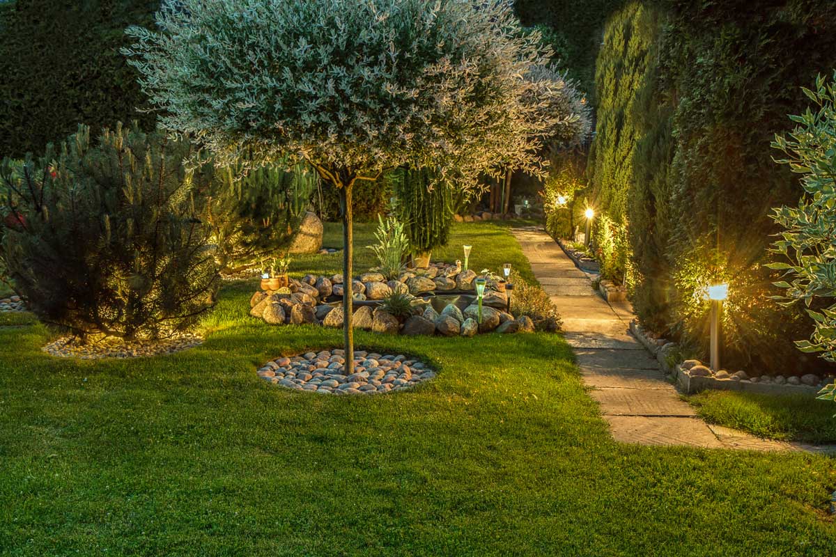 Landscape lighting in Raleigh. Sidewalk lit outside.